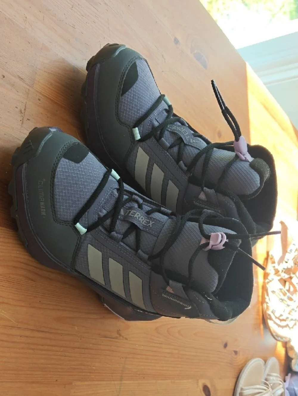 adidas terrex ax4r